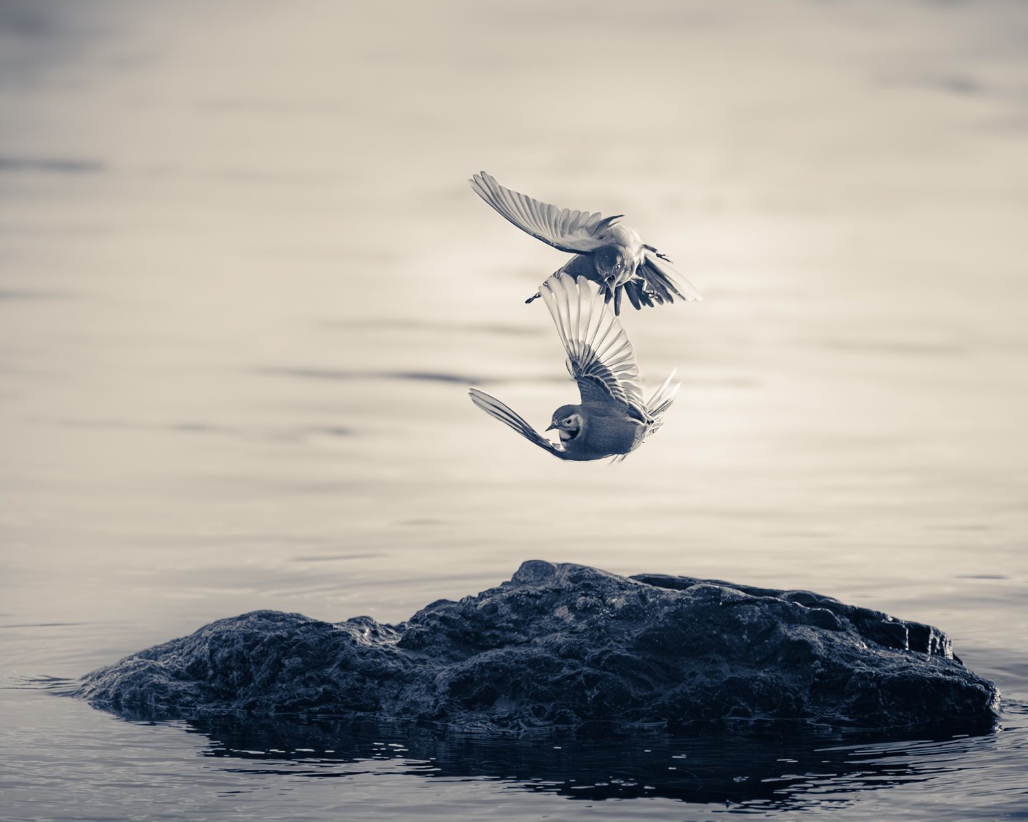 Photograph by Andreas Lundmark