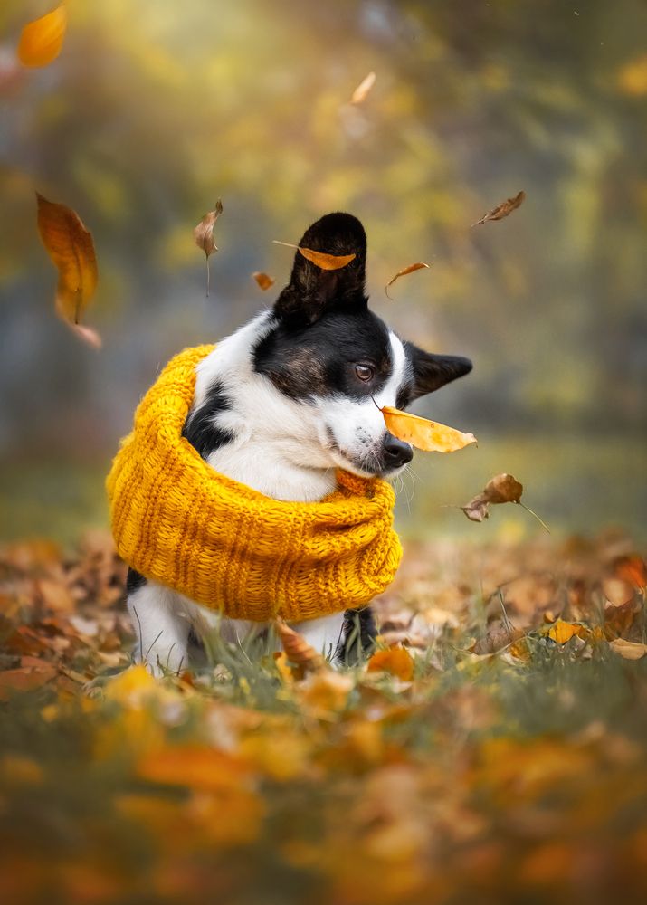 Photograph by Наталья Орел