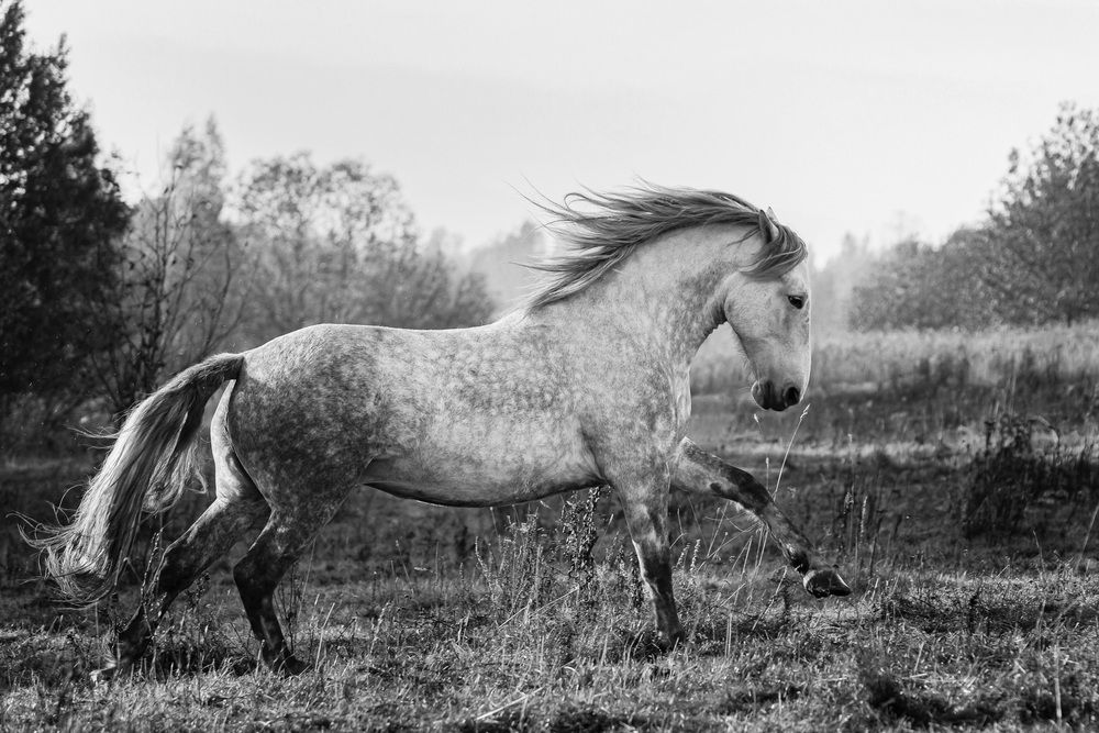 Фотография автора Anastasiya