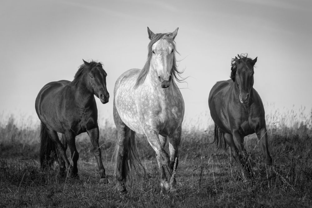 Фотография автора Anastasiya