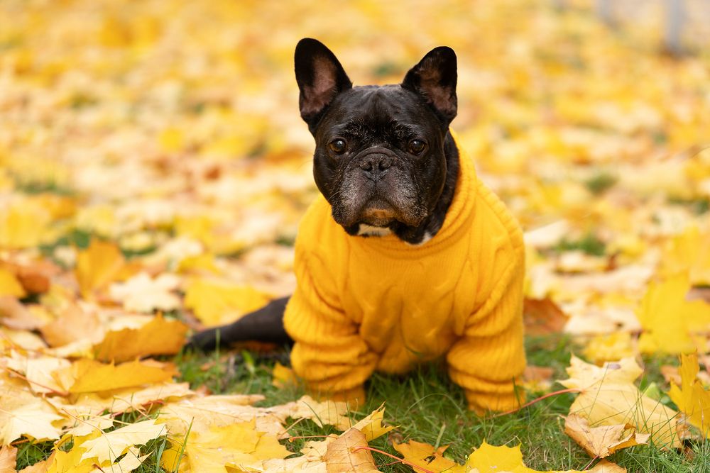 Photograph by Анастасия Симакова