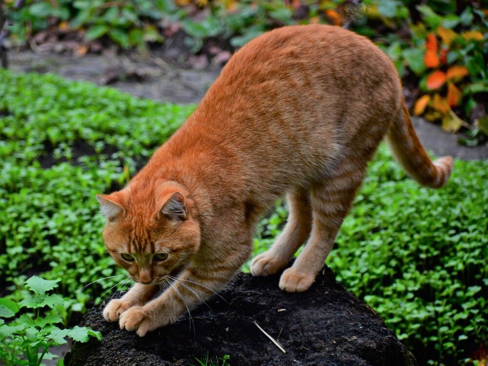 Photograph by Николай Абакумов