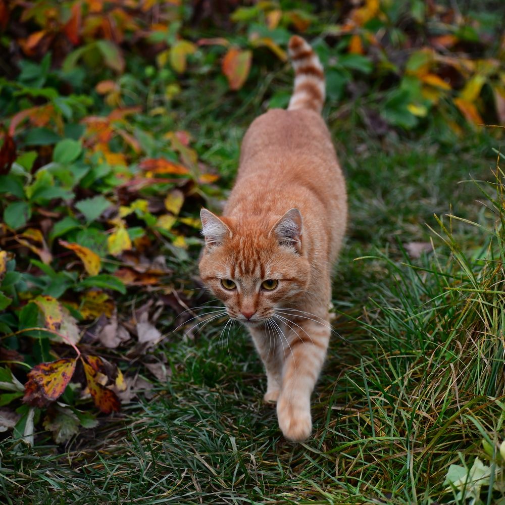Photograph by Николай Абакумов