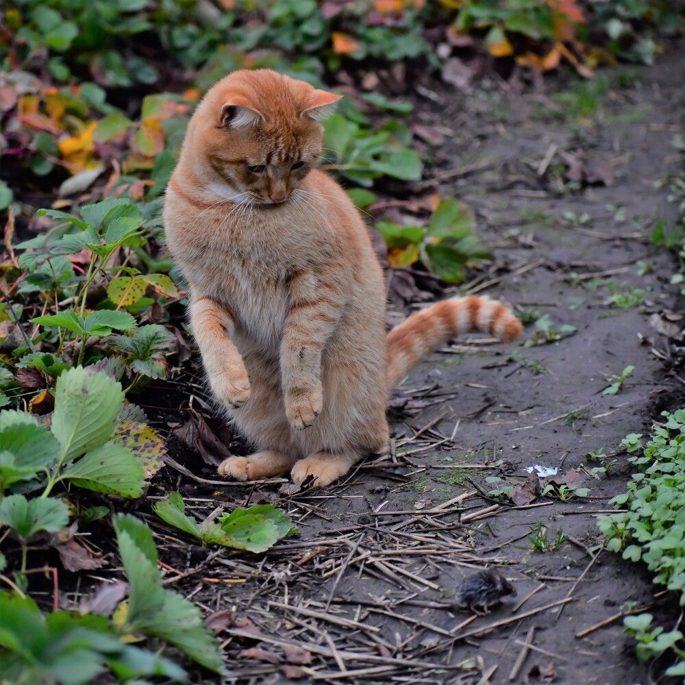 Photograph by Николай Абакумов