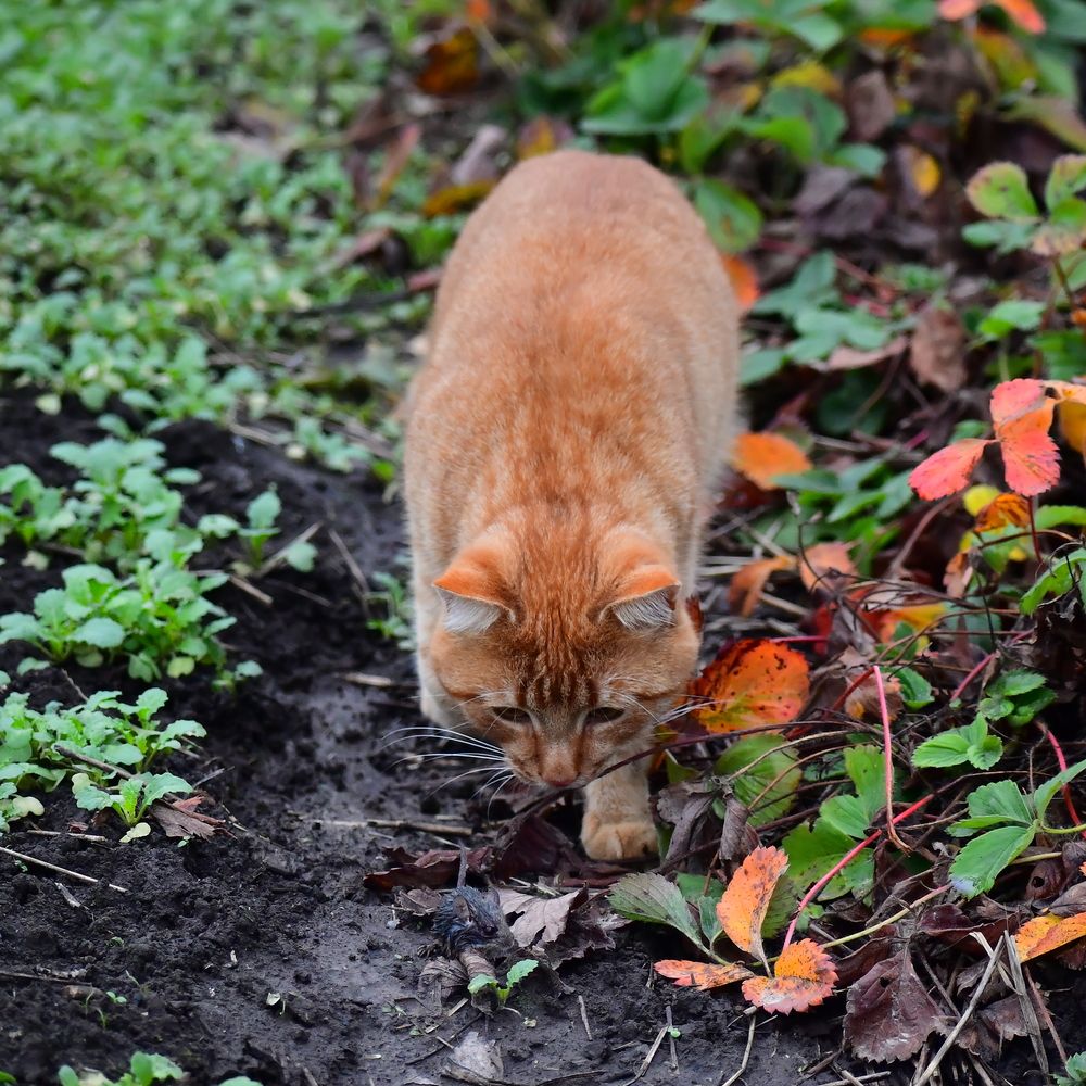 Photograph by Николай Абакумов