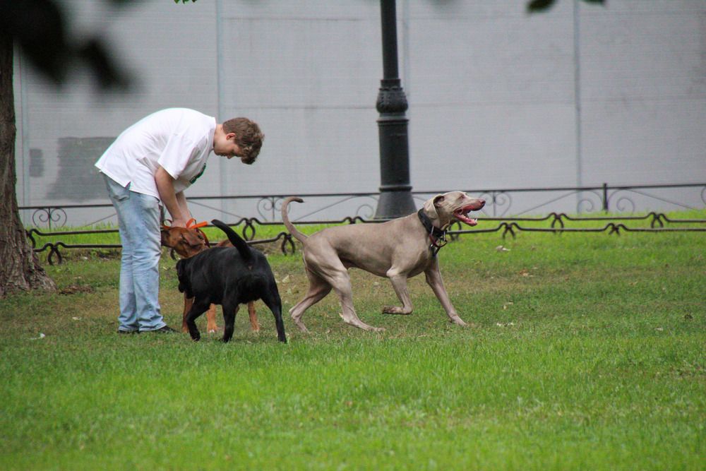 Photograph by Наталья Веряскина