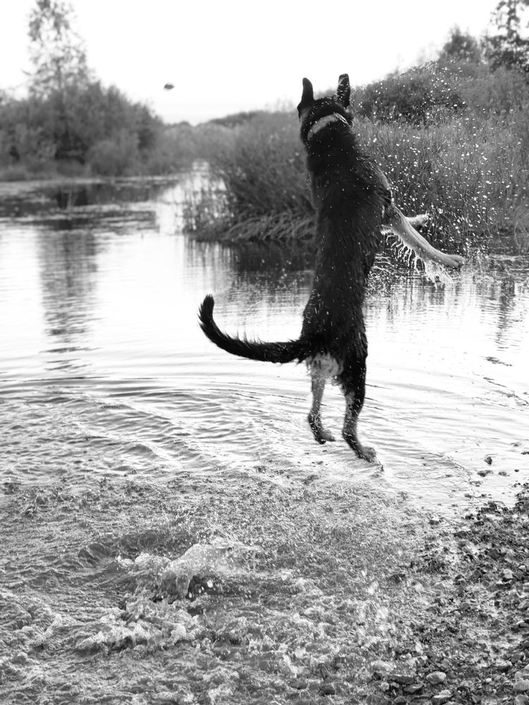 Photograph by Анна Якубинас