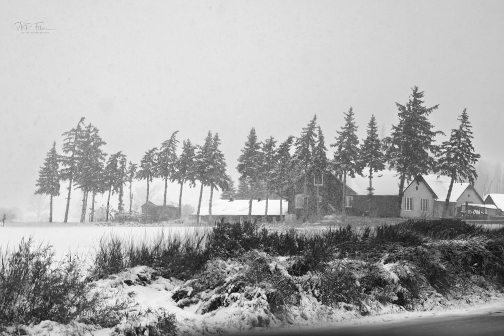 Photograph by Vaibhav Rege