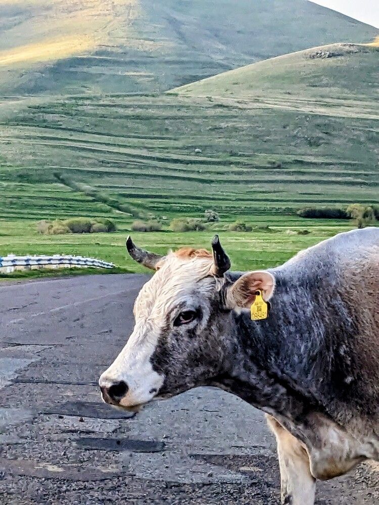 Photograph by Lilit Petrosyan