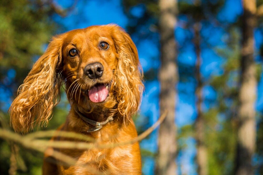 Photograph by Александра Степанова