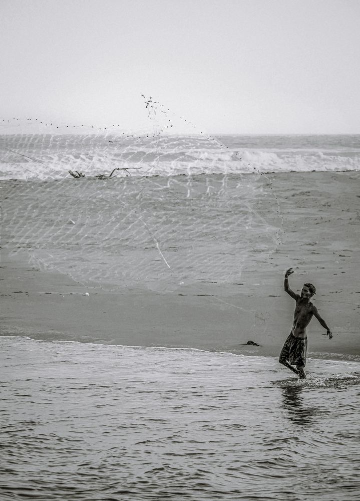 Between Sand and Sea