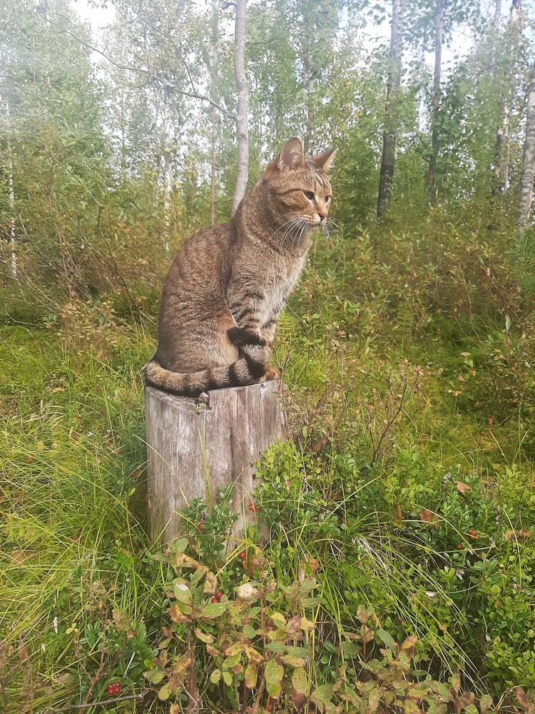 Photograph by Анна Князева