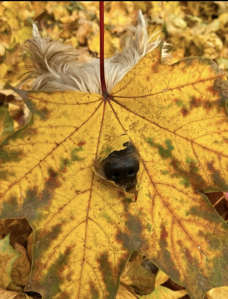 Photograph by Ирина Швейнова