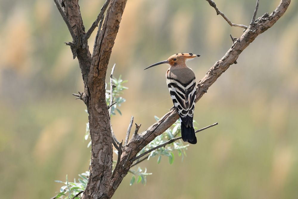 Photograph by Анатолий Садовский