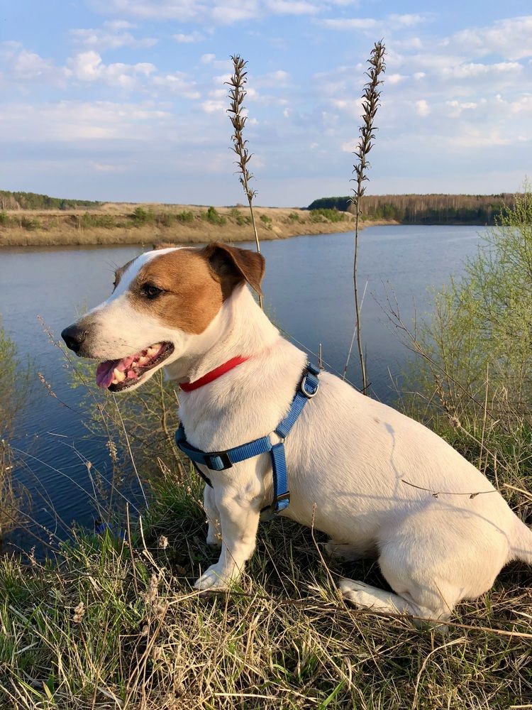 Photograph by Ирина Швейнова