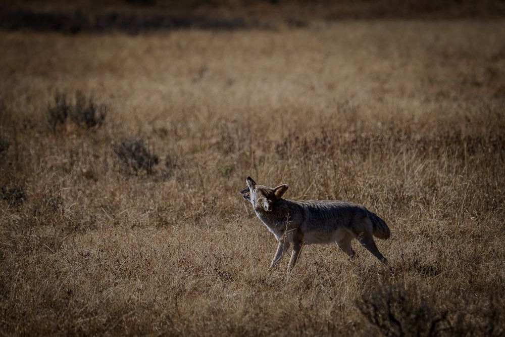 Photograph by Athul Konikkara