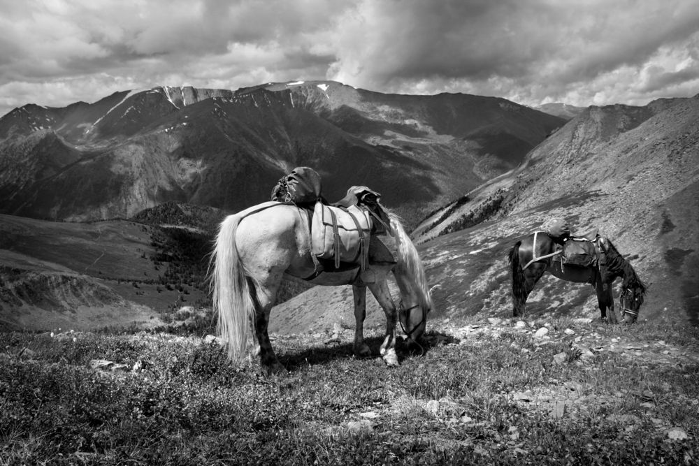 Фотография автора Кухта Мария