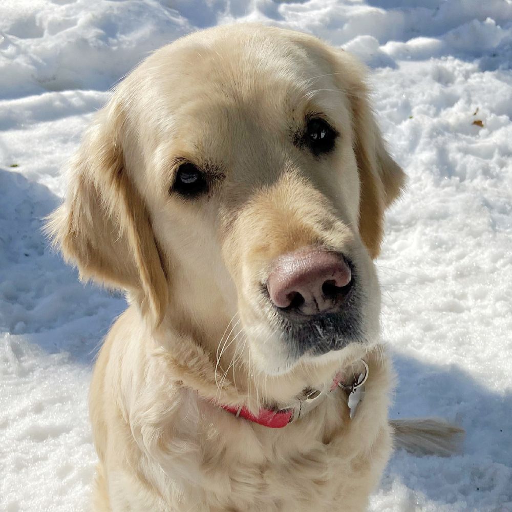 Photograph by Ирина Швейнова