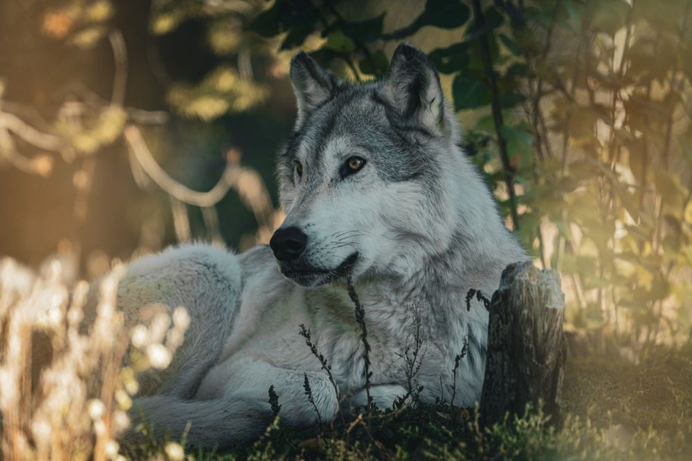 Photograph by Athul Konikkara