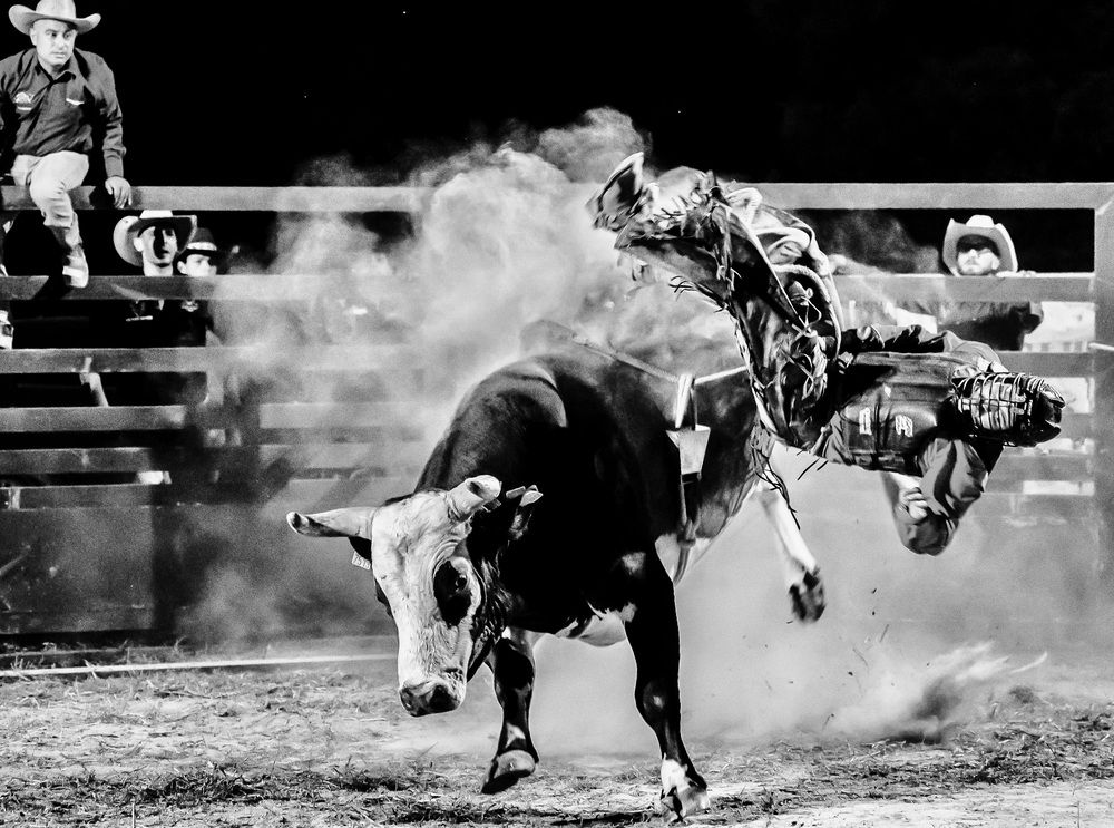 Photograph by Claudio Gennari