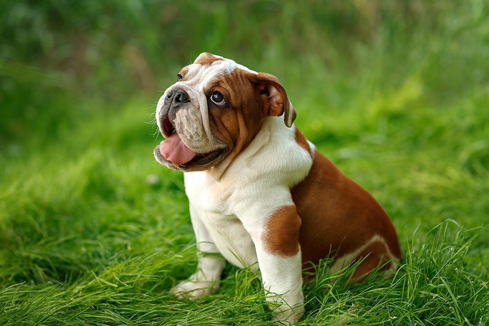 Photograph by Марина Фрейман