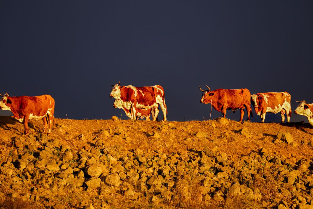 Photograph by Дмитрий Куркулин