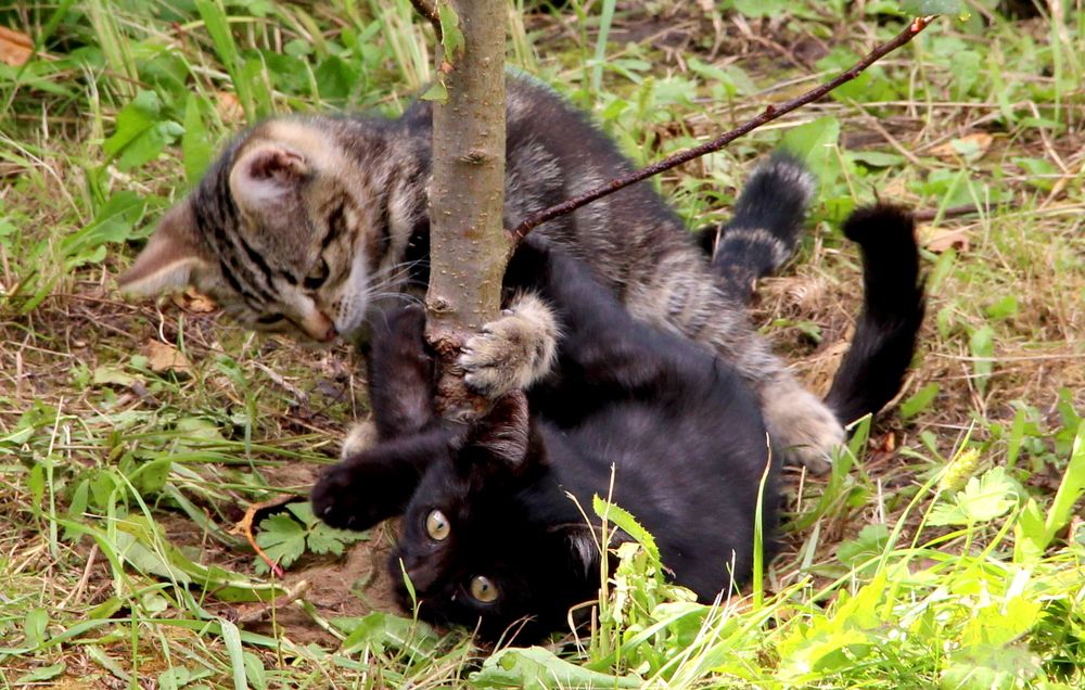 Photograph by Жанна Нечаева