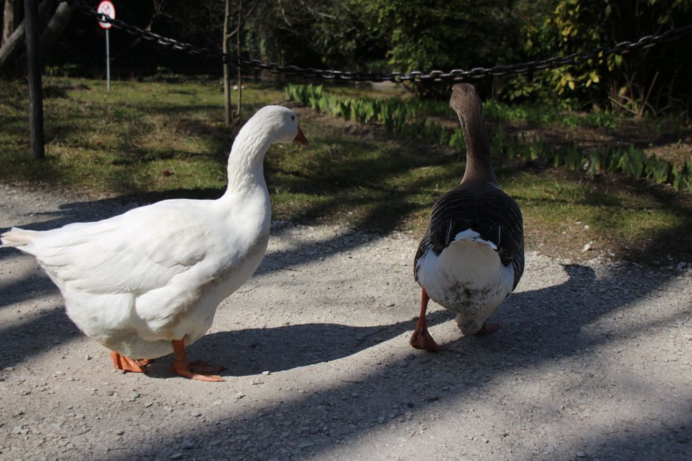 Photograph by Наталья Веряскина