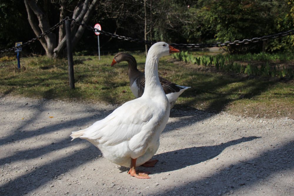 Photograph by Наталья Веряскина