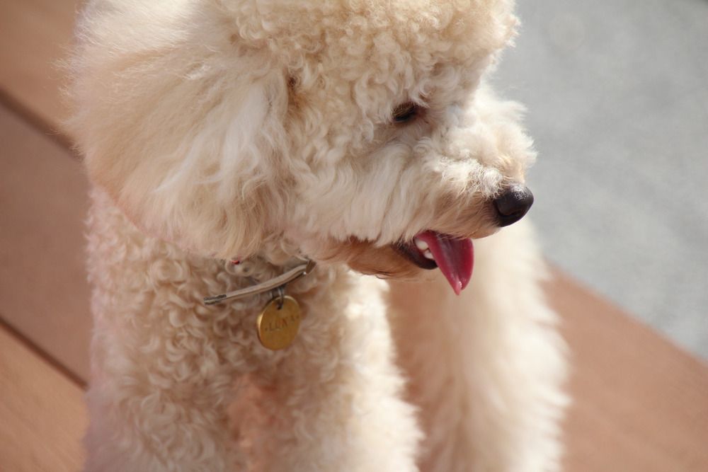 Photograph by Наталья Веряскина