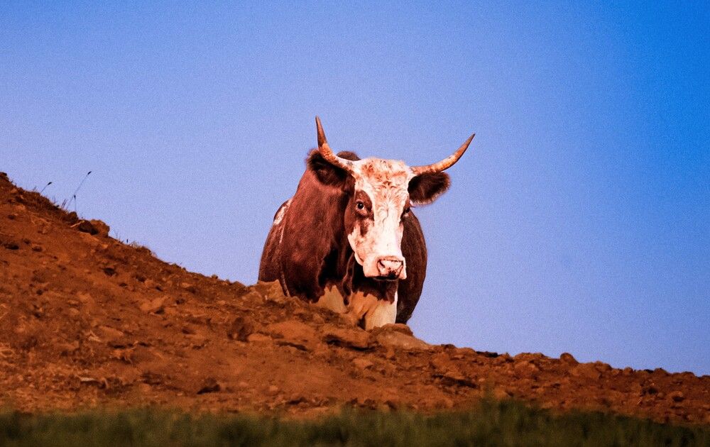 Photograph by Дмитрий Куркулин