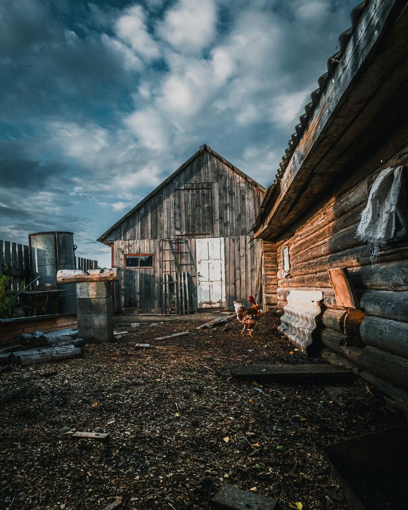 Photograph by Илья Пономарев