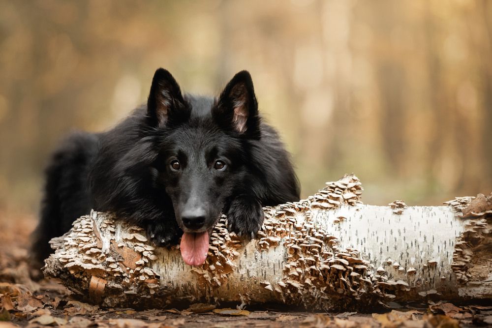 Photograph by Екатерина Киреева