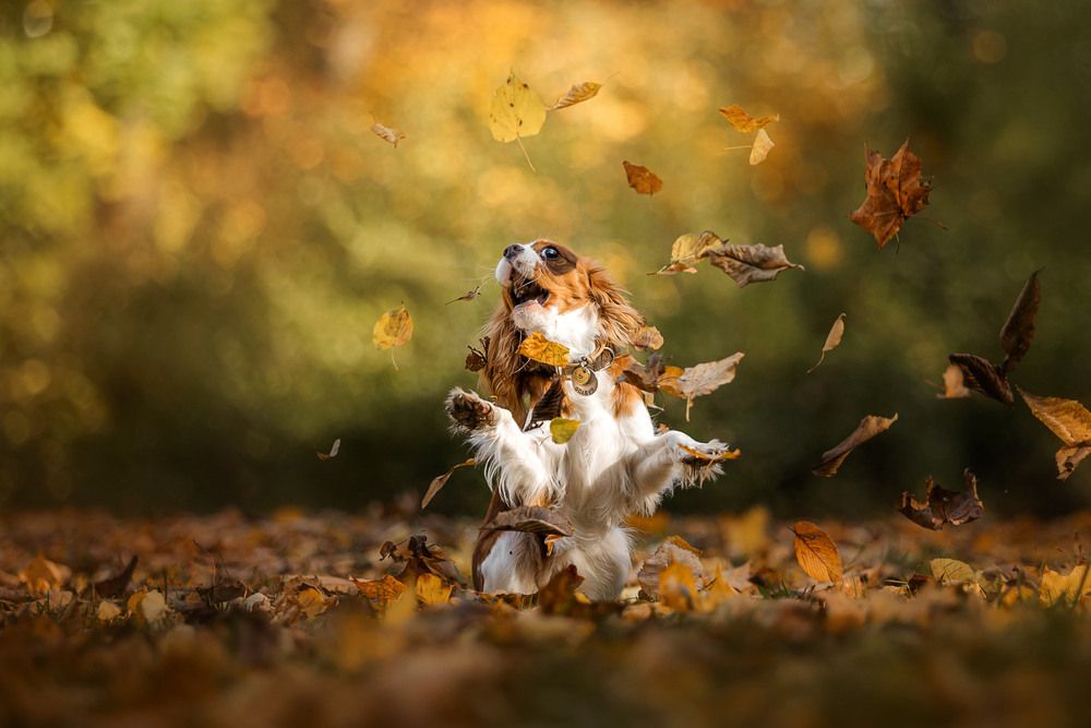 Photograph by Екатерина Киреева