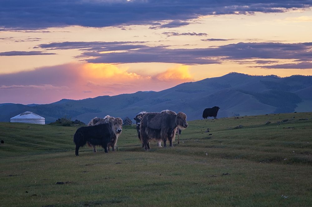 Photograph by Галина Юдина