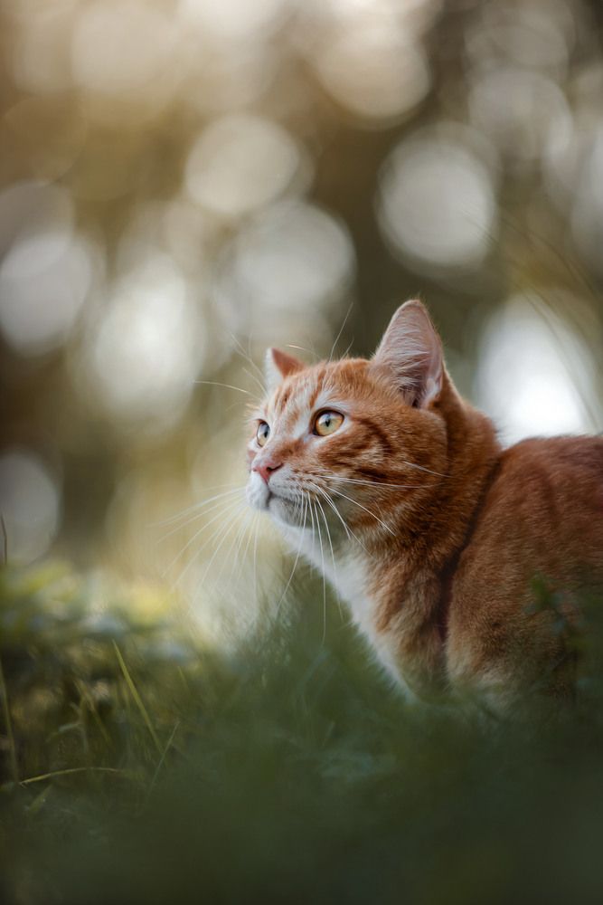 Photograph by Екатерина Киреева