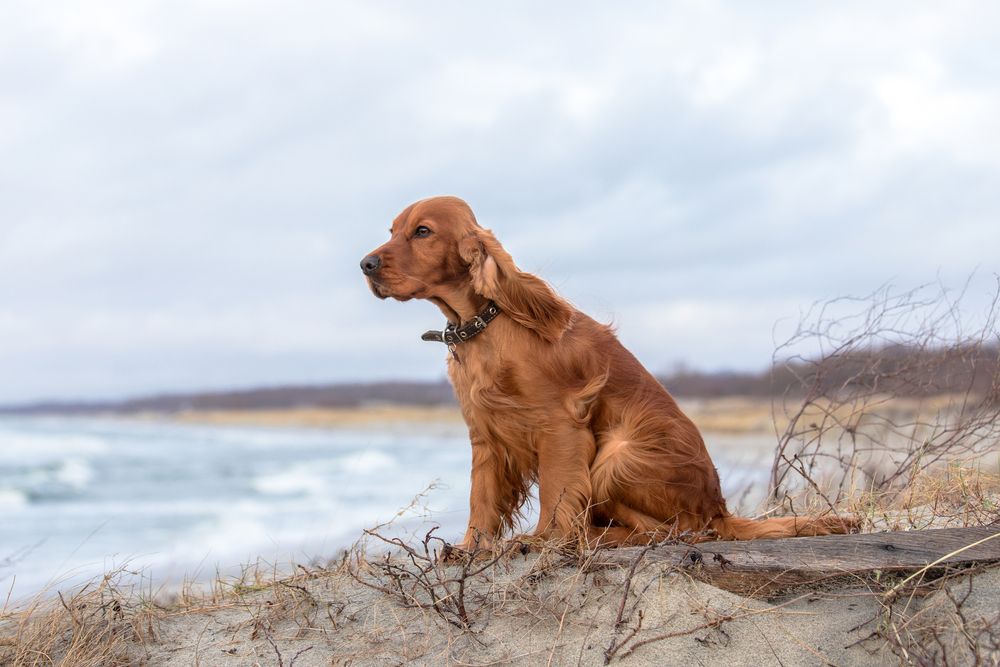 Photograph by Наталья Брюхненко