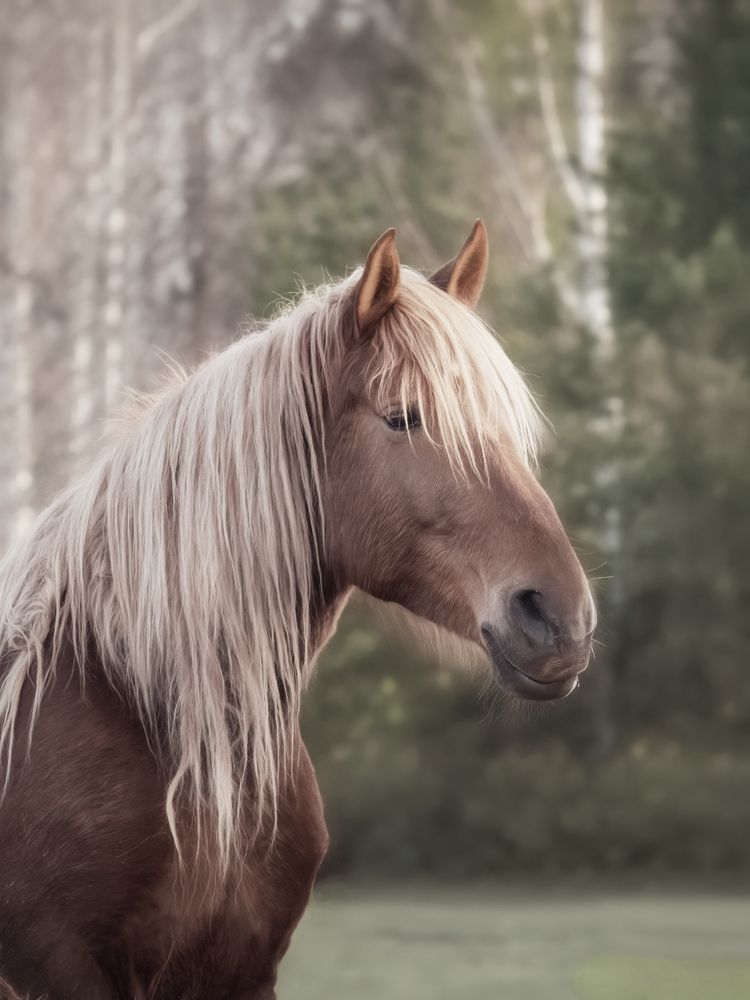 Photograph by Nephotograph