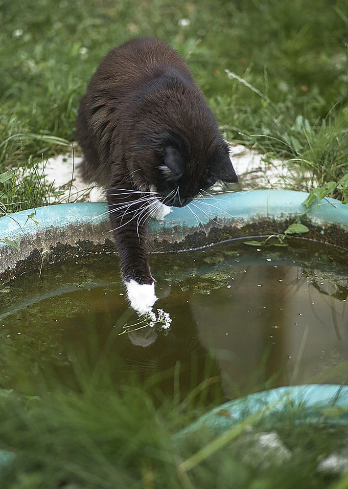 Photograph by Светлана Кавказская