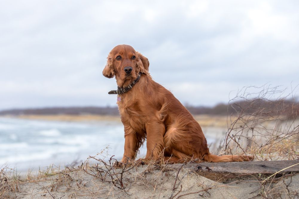 Photograph by Наталья Брюхненко