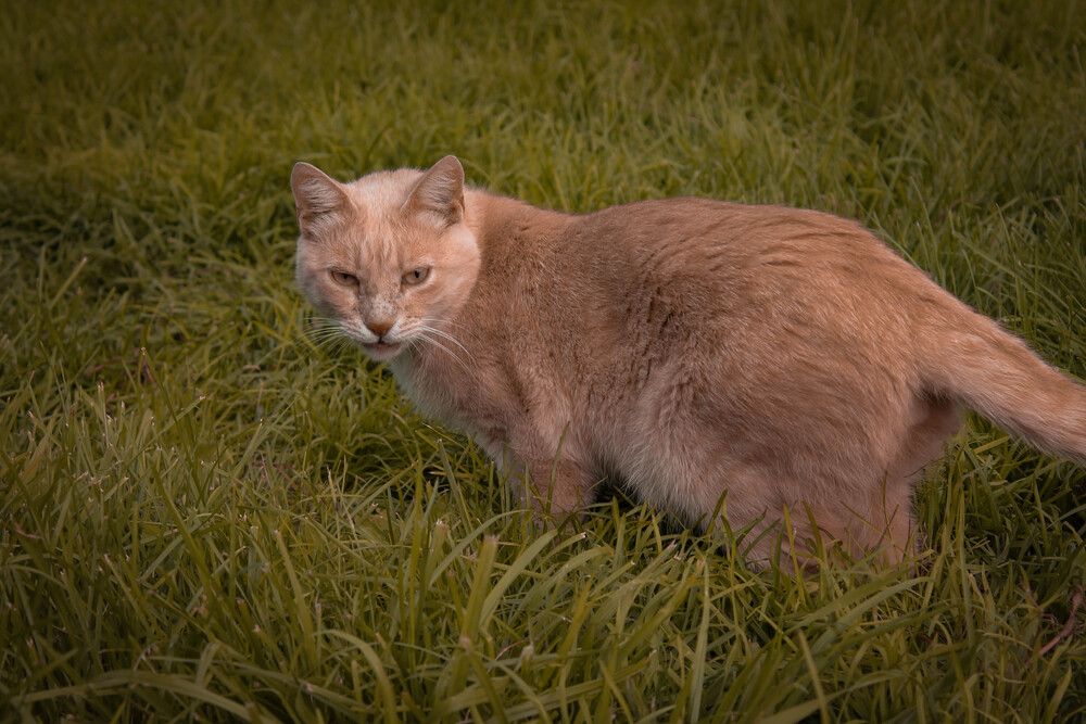 Photograph by Любовь Иванова