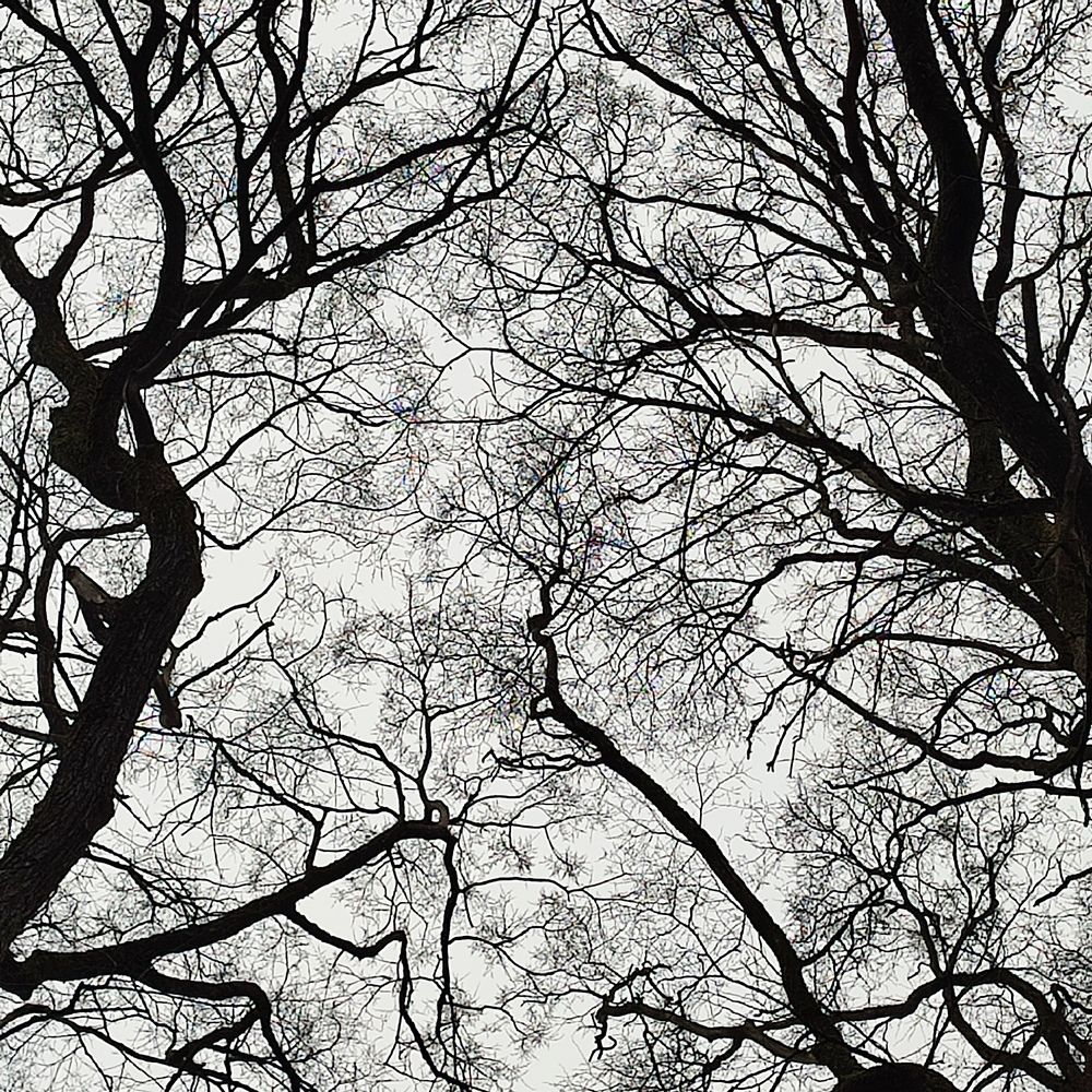 Photograph by Евгения