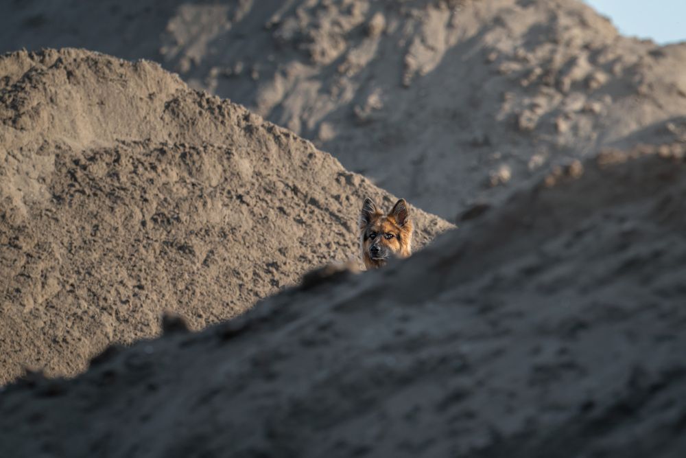 Photograph by Nephotograph