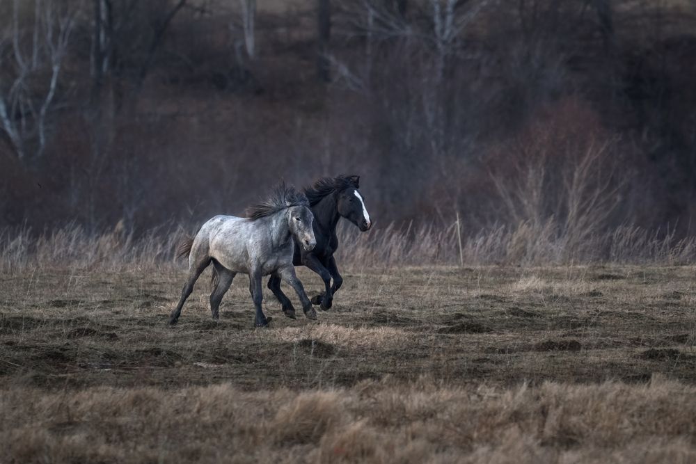 Photograph by Nephotograph