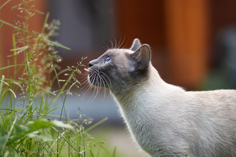 Вкус свободы
