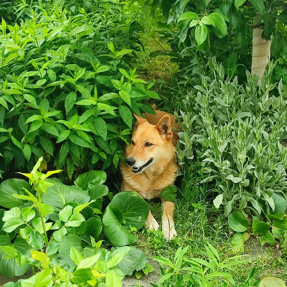 Photograph by Евгения