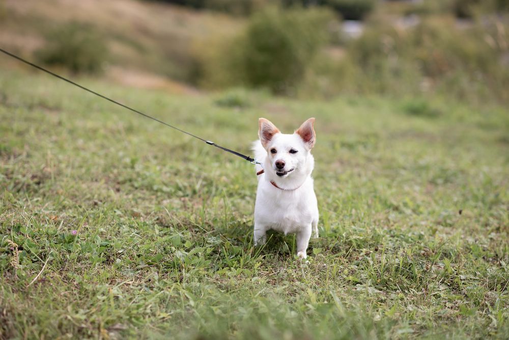 Photograph by Любовь Мызина