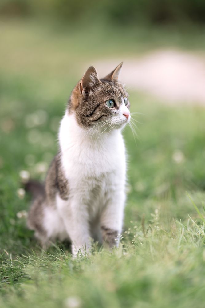 Photograph by Nephotograph