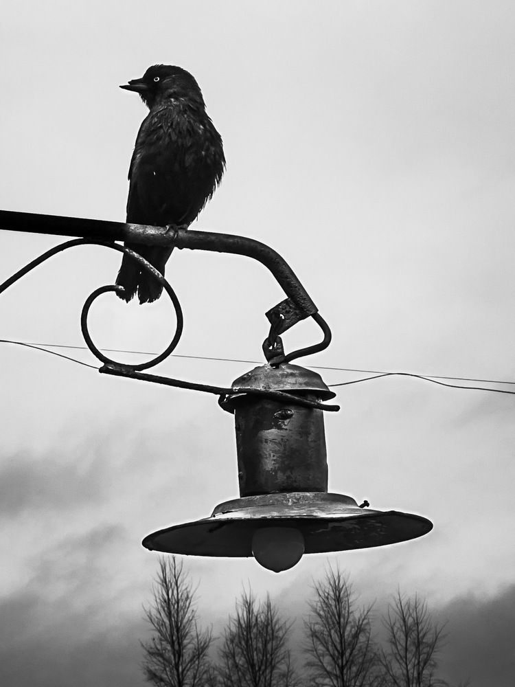 Photograph by Вячеслав Косенков