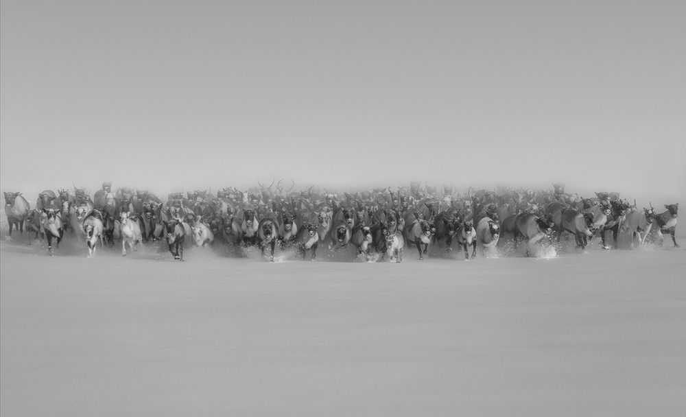 Photograph by Александр Чазов